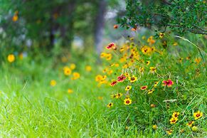 2br Texas Countryside Home w/ Hot Tub!