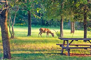 2br Texas Countryside Home w/ Hot Tub!