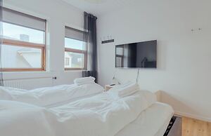 Downtown / Newly Renovated 2 Bedroom Apartment