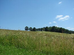 Roubenka Jesen k Mfk080