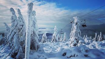 Rokytnice Krl470 in Rokytnice nad Jizerou