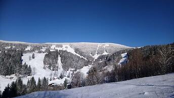 Rokytnice Krm450 in Rokytnice nad Jizerou