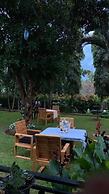 Aivilo Home