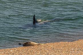 La Elvira Natural Lodge Nature & Wildlife Experience in Peninsula Vald