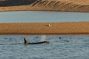 La Elvira Natural Lodge Nature & Wildlife Experience in Peninsula Vald