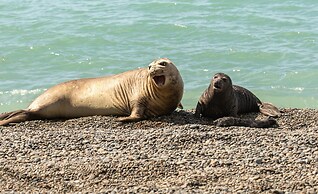 La Elvira Natural Lodge Nature & Wildlife Experience in Peninsula Vald