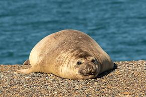 La Elvira Natural Lodge Nature & Wildlife Experience in Peninsula Vald