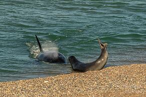 La Elvira Natural Lodge Nature & Wildlife Experience in Peninsula Vald