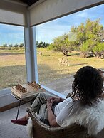 La Elvira Natural Lodge Nature & Wildlife Experience in Peninsula Vald