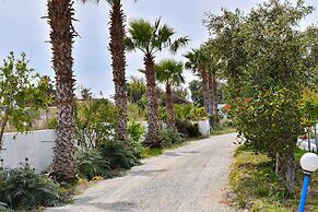 1 Bedroom Apartment Lambisea