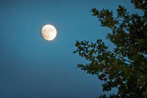 Luxury Cottage With Views-fireplace-spa Bath