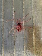 industry south tower in poblado 304