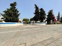 Armação DE Pêra Brightness 2 With Pool