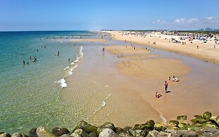 Tavira Palm Tree by Homing