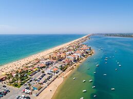 Faro Rising by Homing