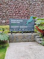 Hotel Chalets Los Volcanes