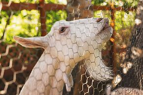 Iron Horse Inn Bed & Breakfast