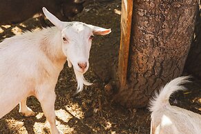 Iron Horse Inn Bed & Breakfast