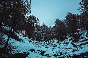 The Himalayan Living Whistling Pines