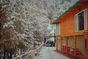 The Himalayan Living Whistling Pines