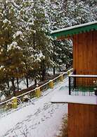 The Himalayan Living Whistling Pines