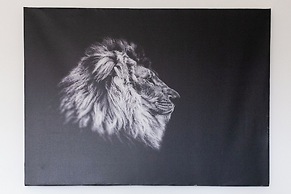 BnButler - Flavio Gioia 5