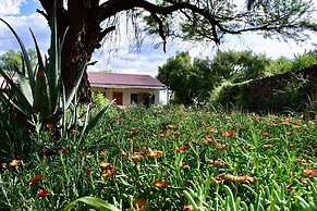 Otjisazu Guest Farm
