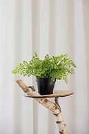 Stawowa Apartment Cracow by Renters