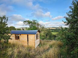 Woodpecker Hill - Apple Orchard in Alfriston