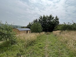 Woodpecker Hill - Apple Orchard in Alfriston