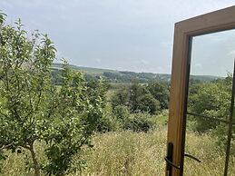Woodpecker Hill - Apple Orchard in Alfriston
