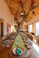 Seclude Pangot Perch