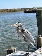 Bridgeview Cottage - 2228 Mallard 3 Bedroom Home by RedAwning