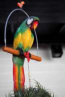 Province de Surat Thani