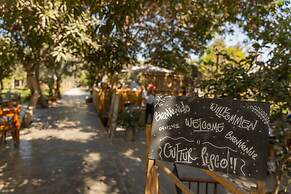 Fundo - Hotel El Arrabal