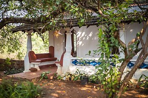 Seclude Falling Cashews Charao Goa