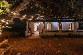 Seclude Falling Cashews Charao Goa