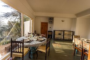 Seclude Shimla Taraview