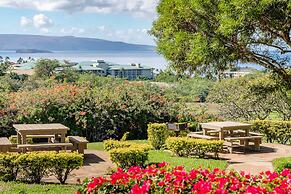 Upscale and Elegant Vistas