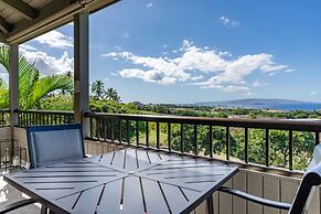 Upscale and Elegant Vistas