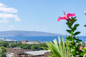 Upscale and Elegant Vistas