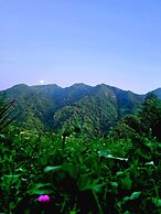 Old House korolistavi