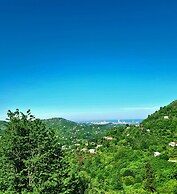 Old House korolistavi