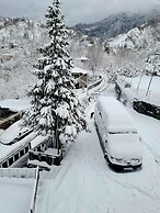 Old House korolistavi