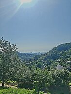 Old House korolistavi