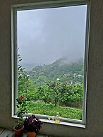 Old House korolistavi