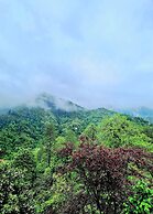 Old House korolistavi