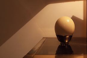 BnButler - Osoppo 19