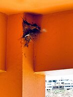 To Steki 1min From Beach 2bd 1ba