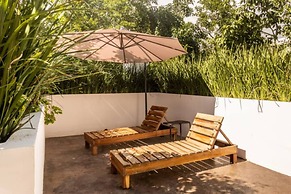 Spectacular Jungle Houses